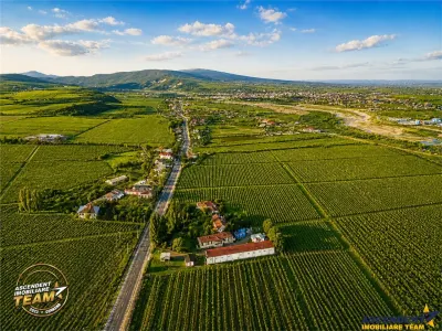 FILM! Domeniu de 4.000 mp intravilan+ casa autentica, in podgoriile Odobesti,Vrancea - foto 6