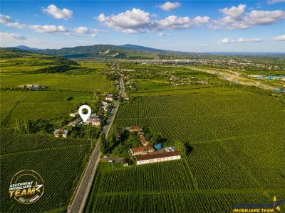 FILM! Domeniu de 4.000 mp intravilan+ casa autentica, in podgoriile Odobesti,Vrancea - foto 7
