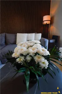 Rezidenta la nivel de Boutique Hotel - foto 21