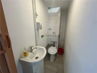 Spatiu comercial cu vad strada Harmanului, Craiter - foto 7