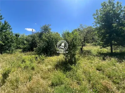 Teren pentru constructii case  de vanzare Iasi, Goruni, - foto 6