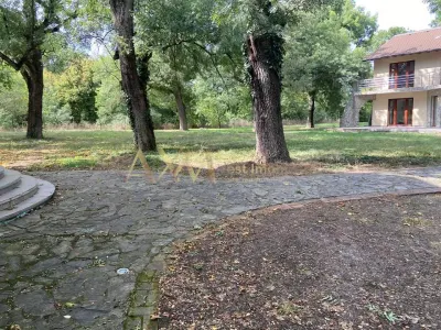 Vanzare casa individuala 6 camere cu piscina si ponton propriu la raul Bega - foto 2