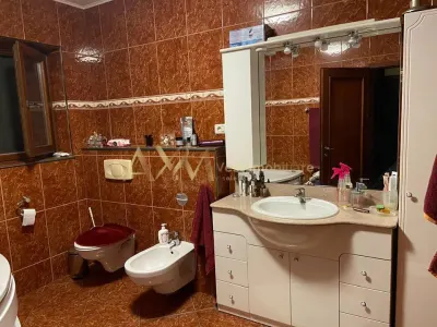 Vanzare casa individuala 6 camere cu piscina si ponton propriu la raul Bega - foto 3