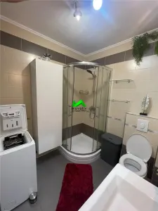 Apartament de inchiriat 2 camere Sibiu C Cisnadiei Kaufland - foto 6