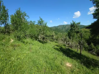 Teren si cladiri Blajeni - foto 14