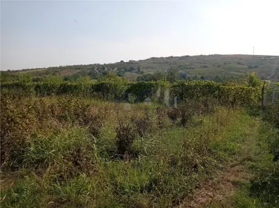 Intravilan - Tomesti - Teren si Cabana zona frumoasa - foto 6