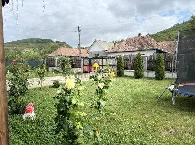 Casa la cheie, Dipsa, Jud.B-N - foto 22