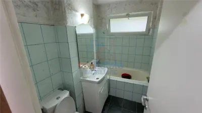 Spatiu comercial de inchiriat in Podul Ros - foto 7