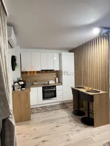 Apartament 1 camere Centru - Palas - foto 4