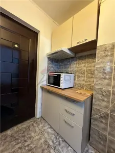 Inchiriere Camera de Camin- zona Pacurari - foto 3