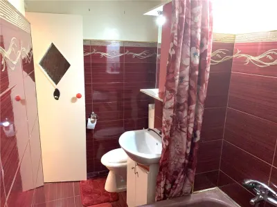 RECO Apartament 3 camere de inchiriat , 66 mp, parter, Bulevardul Decebal aproape de tramvai. - foto 11