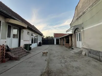 Ohaba-Forgaci, Casa Cu Doua Corpuri, 6 Cam. 268 Mp., Teren 2.999 Mp. Cu Pomicultura,  Zona Centrala - foto 14