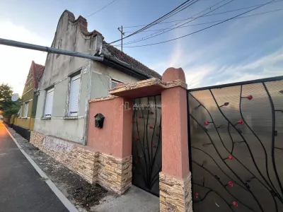 Ohaba-Forgaci, Casa Cu Doua Corpuri, 6 Cam. 268 Mp., Teren 2.999 Mp. Cu Pomicultura,  Zona Centrala - foto 15