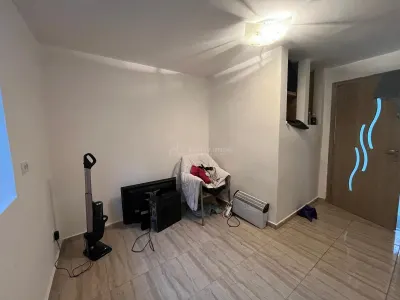 Ohaba-Forgaci, Casa Cu Doua Corpuri, 6 Cam. 268 Mp., Teren 2.999 Mp. Cu Pomicultura,  Zona Centrala - foto 16