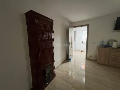Ohaba-Forgaci, Casa Cu Doua Corpuri, 6 Cam. 268 Mp., Teren 2.999 Mp. Cu Pomicultura,  Zona Centrala - foto 17