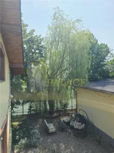 Vila premium cu gradina  || 1400 mp teren || Ghermanesti - Snagov || - foto 25