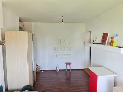 BUZIASULUI - AP. 1 CAMERA - mobilat, utilat, semidecomandat - foto 2