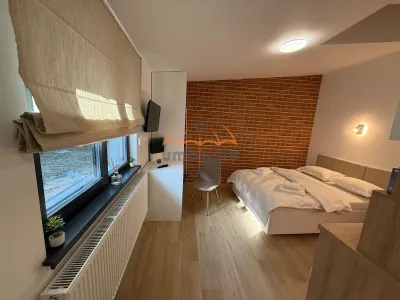 Spatiu de inchiriat, zona Horea,  48m² - foto 18