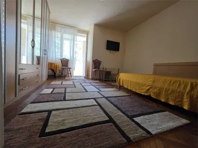 SAGULUI - APARTAMENT 1 CAMERA - mobilat, utilat, semidecomandat - Timisoara
