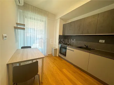 Apartament 2 camere de inchiriat Herastrau Soseaua Nordului - foto 17
