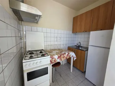 Apartament 1 camera-Elisabetin - foto 3