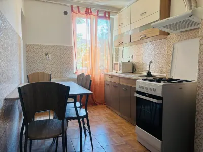 Apartament 2 camere de inchiriat Ultracentral - foto 6