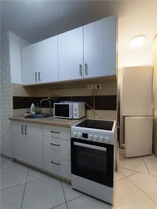 Apartament 2 camere Piata Victoriei langa Mures Mall si UMFST, Centru - foto 9
