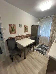 Apartament 2 camere de inchiriat – Podu Ros, in fata Universitatii Tehnice - foto 8