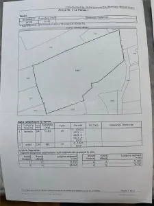 Teren cu suprafata generoasa, situat in zona linistita, la 15 minute de Ploiesti - foto 6