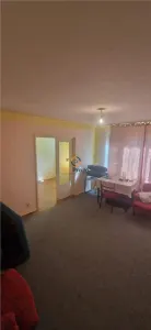 Apartament la Parter zona Sagului P-ta Doina - foto 5