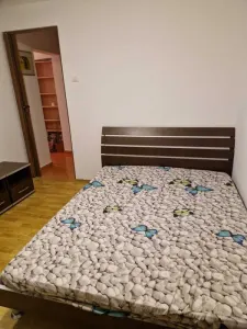 Inchiriez apartament 2 camere Calea Mosilor - foto 5
