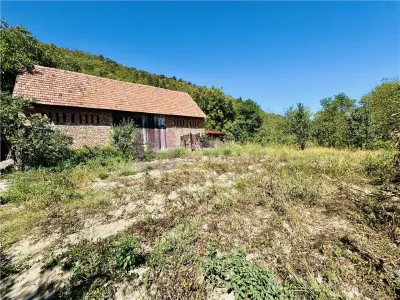 Constructie industriala cu teren 1254 mp de vanzare | Seica Mare | - foto 2