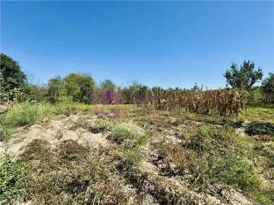 Constructie industriala cu teren 1254 mp de vanzare | Seica Mare | - foto 5