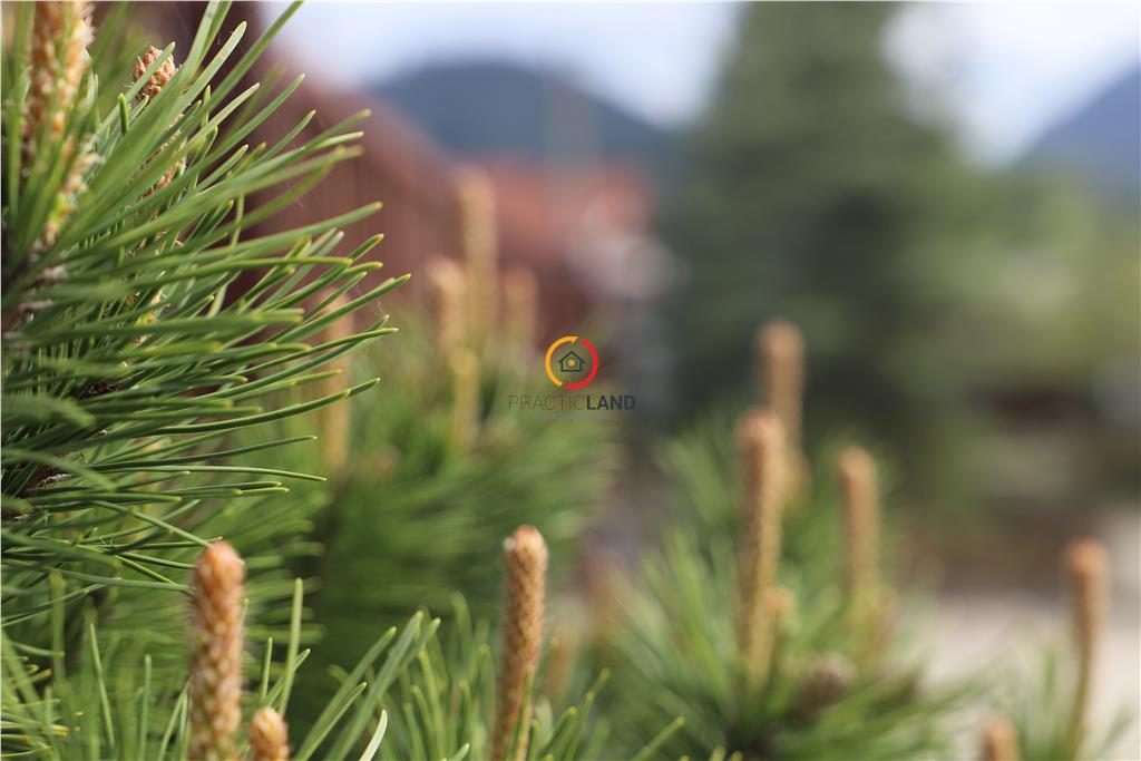 constructii si teren  intravilan18.000 mp - 