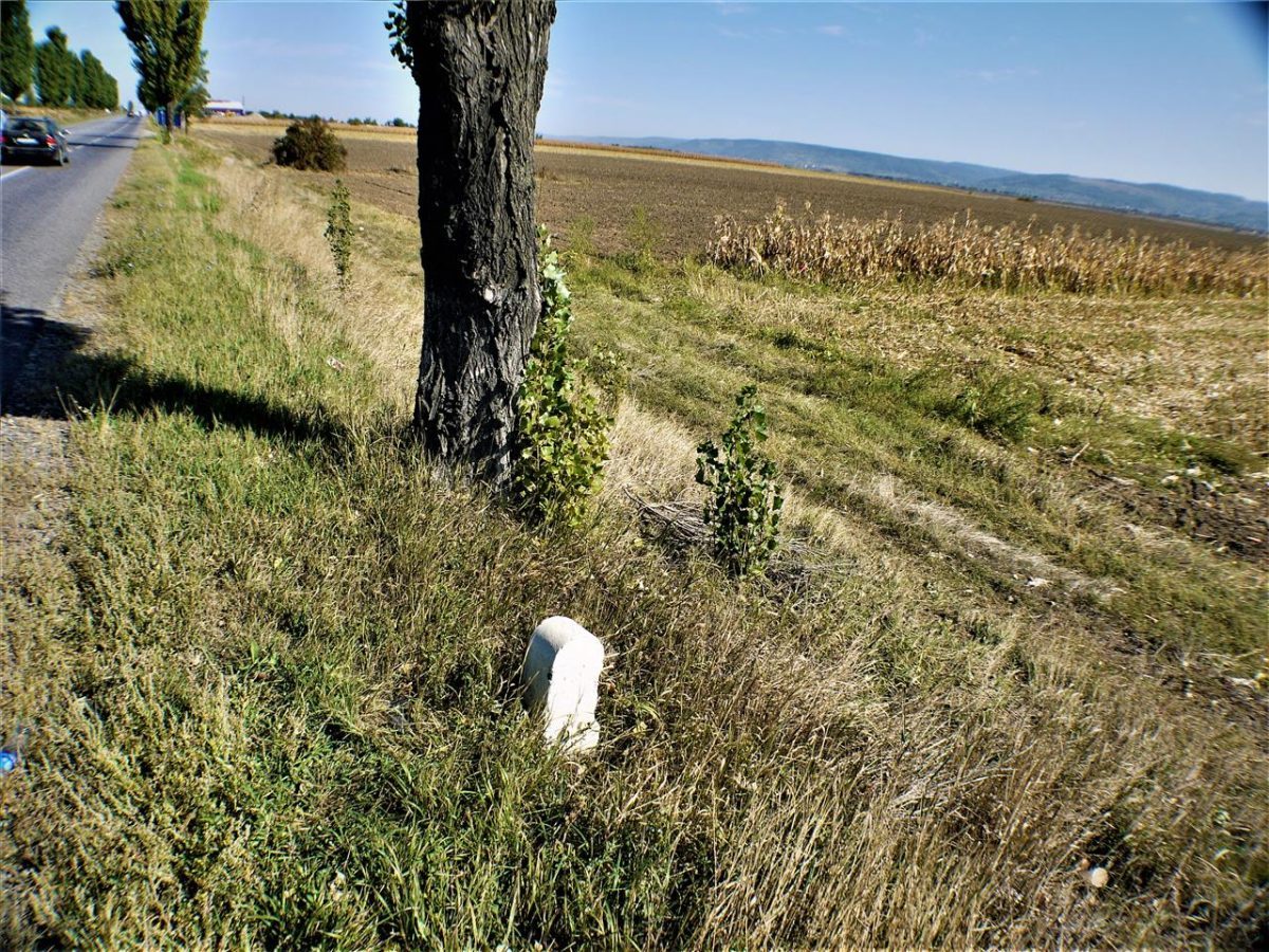 Teren iesire din Nicolae Balcescu, la 200ml de E85 Bacau - foto 12