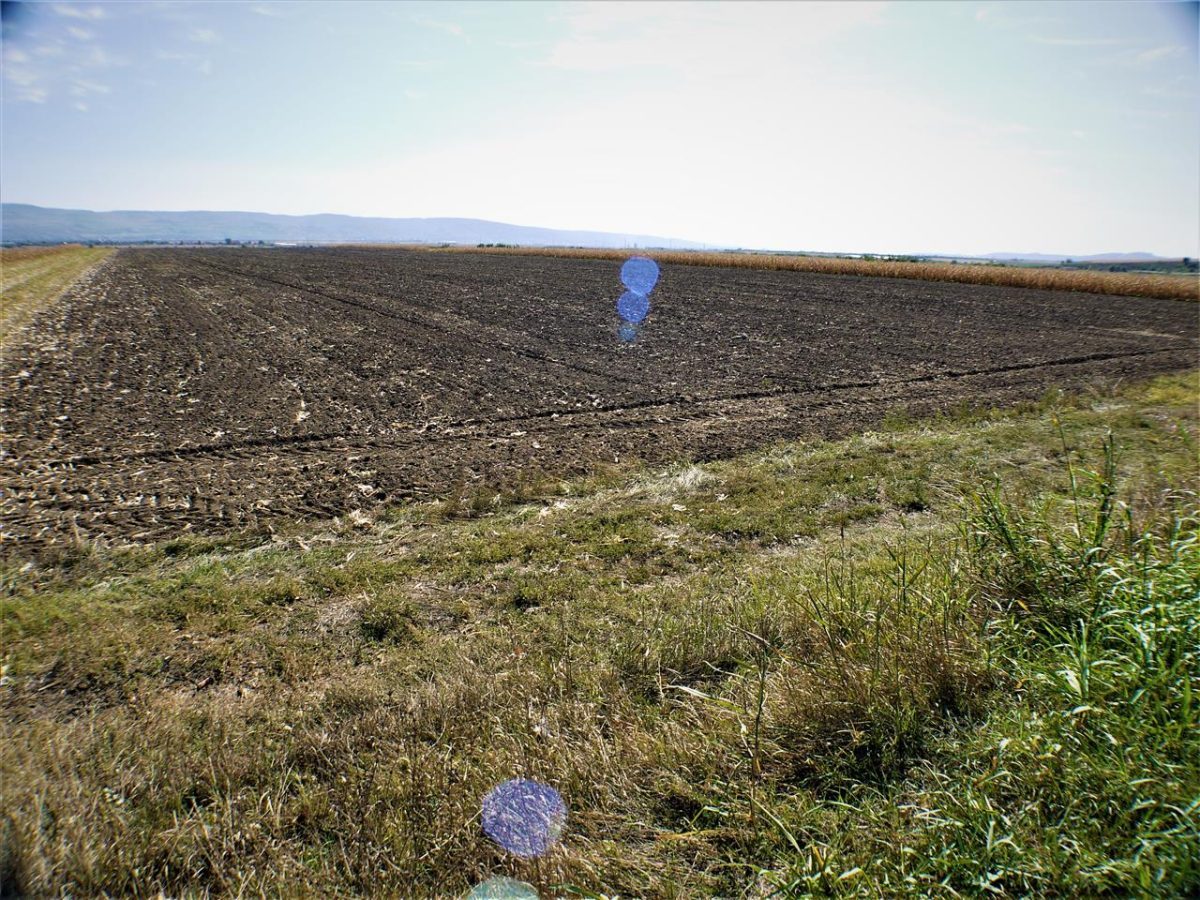 Teren iesire din Nicolae Balcescu, la 200ml de E85 Bacau - foto 4