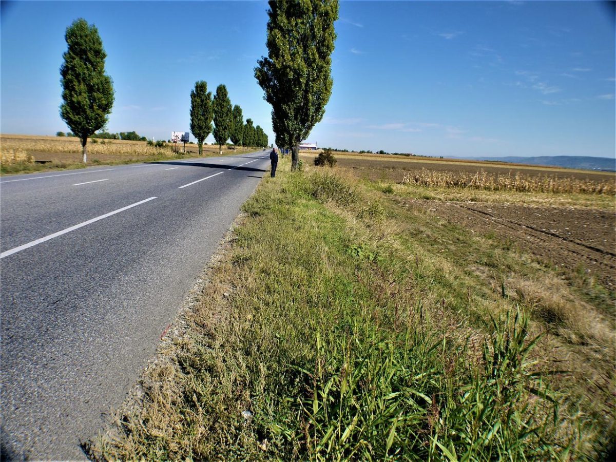 Teren iesire din Nicolae Balcescu, la 200ml de E85 Bacau - foto 8