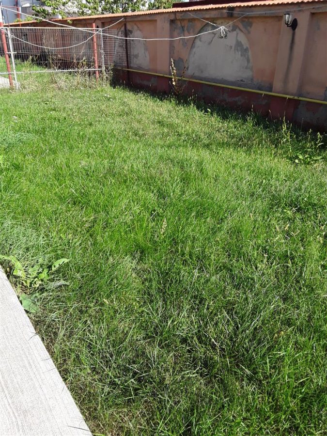 Inchiriere Vila Lux. 4 camere , Fundeni - foto 14