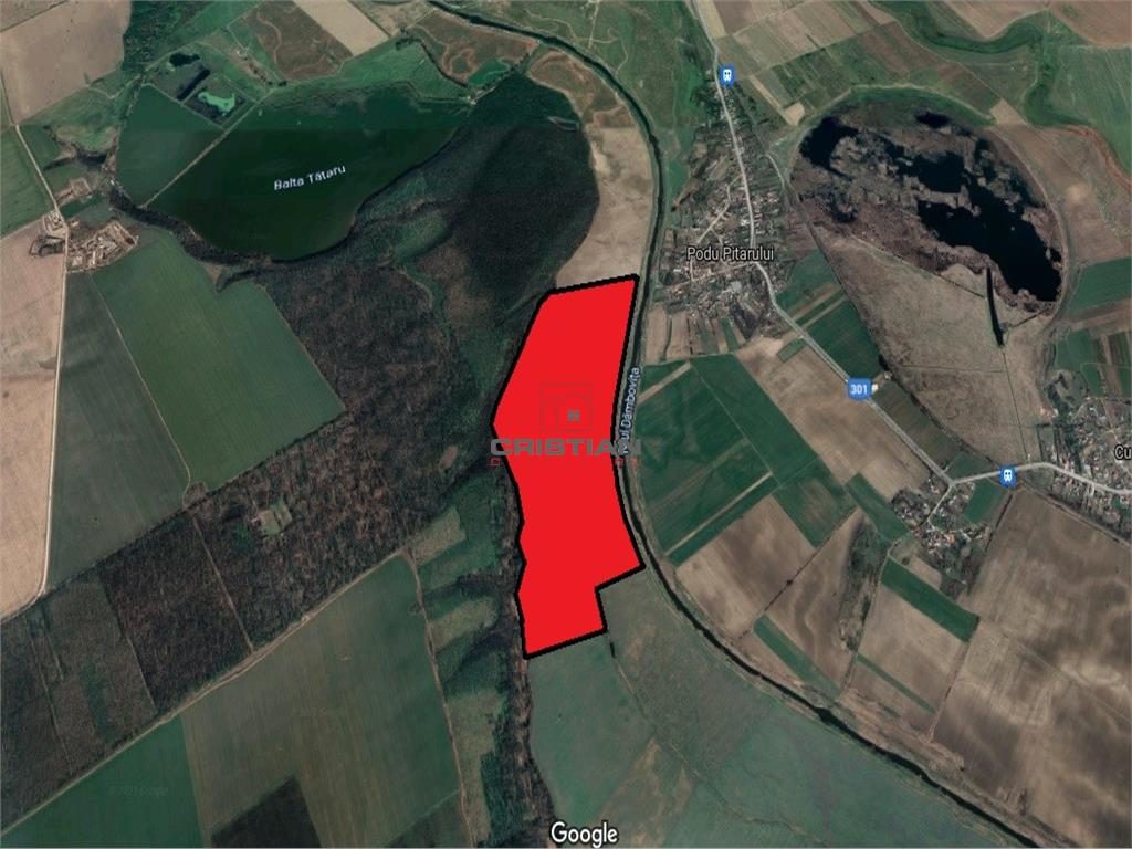 Vanzare teren agricol Cernica - Fundeni - Plataresti, ILFOV - 