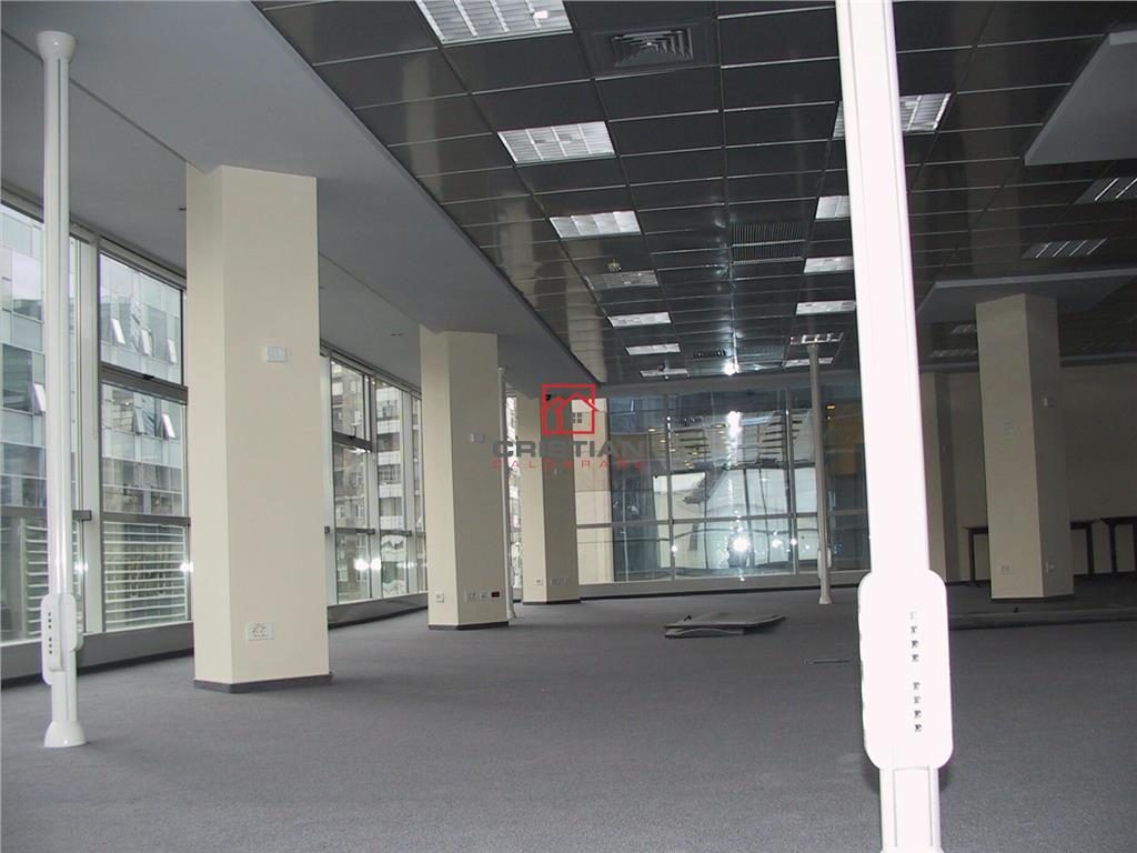 Inchiriere birouri Piata Victoriei - Titulescu, Bucuresti - foto 7