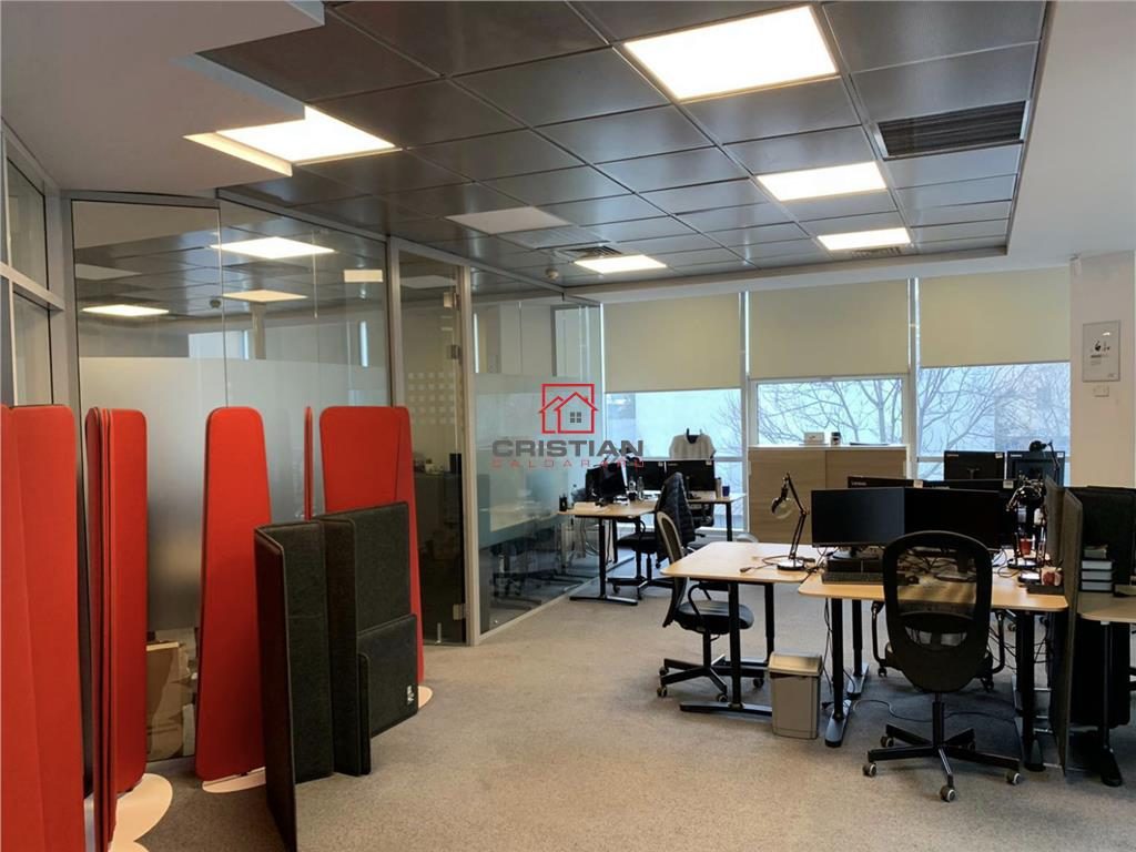 Inchiriere birouri Piata Victoriei - Titulescu, Bucuresti - foto 8