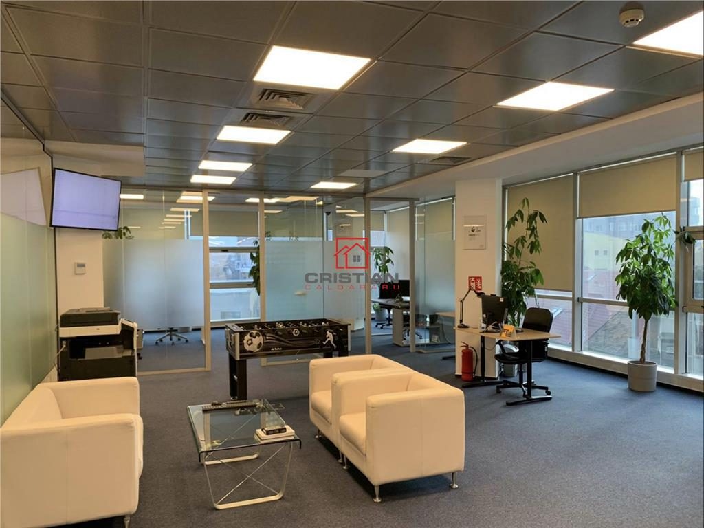 Inchiriere birouri Piata Victoriei - Titulescu, Bucuresti - foto 9