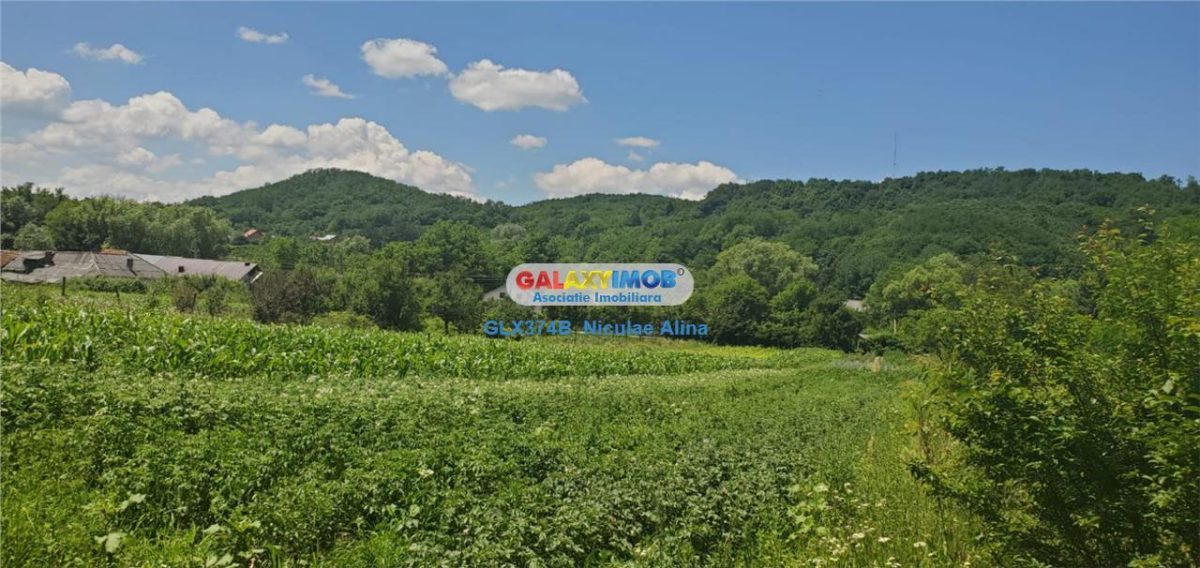 Teren intravilan comuna Bogati sat Birloi Jud. Arges - foto 2