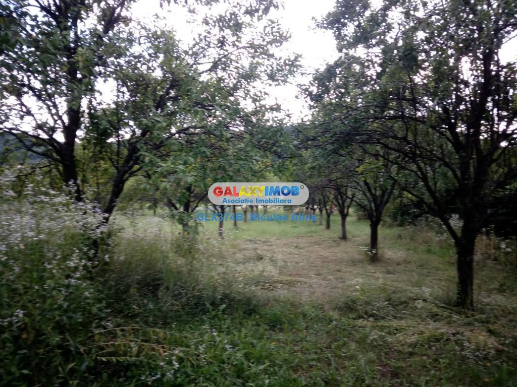 Teren intravilan comuna Bogati sat Birloi Jud. Arges - foto 11