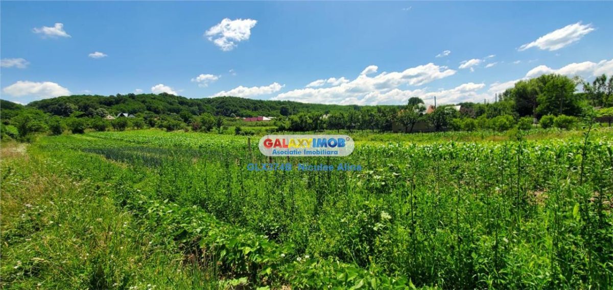 Teren intravilan comuna Bogati sat Birloi Jud. Arges - foto 7