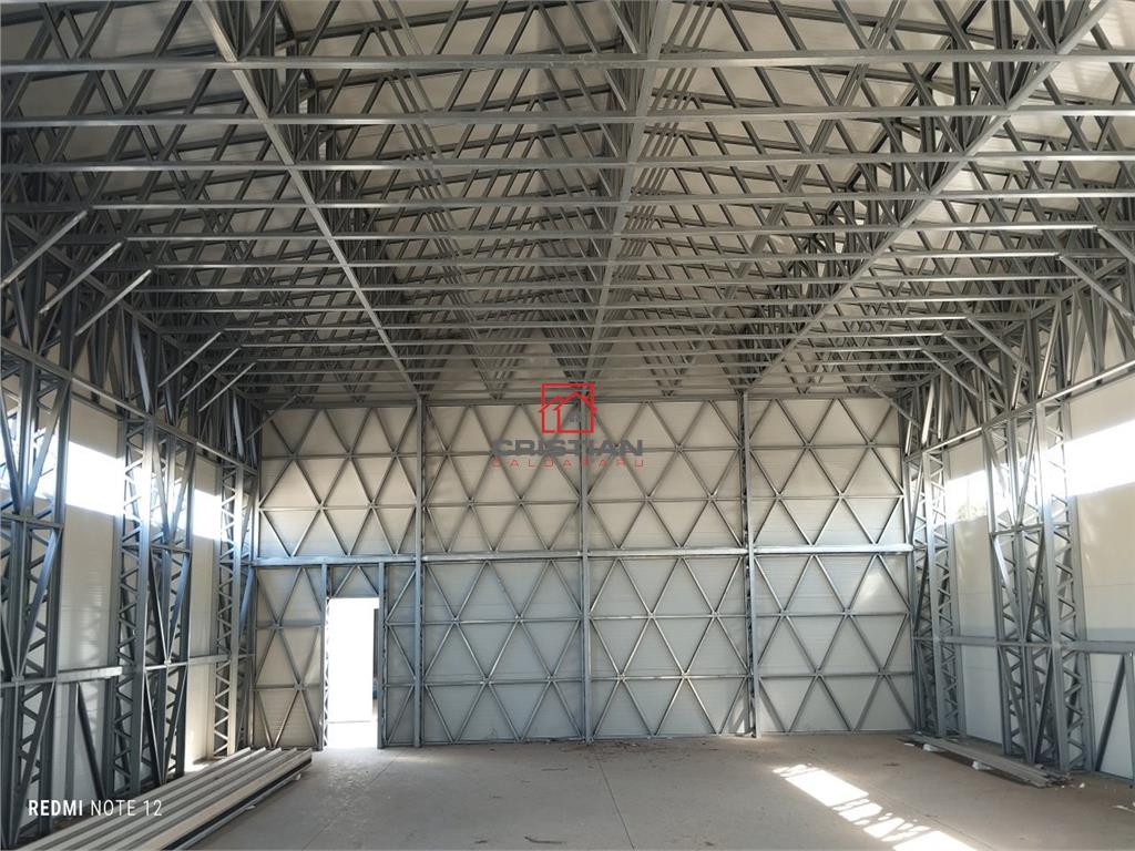 Vanzare depozit/hala/spatiu industrial  Pantelimon - Ferma, Ilfov - foto 4