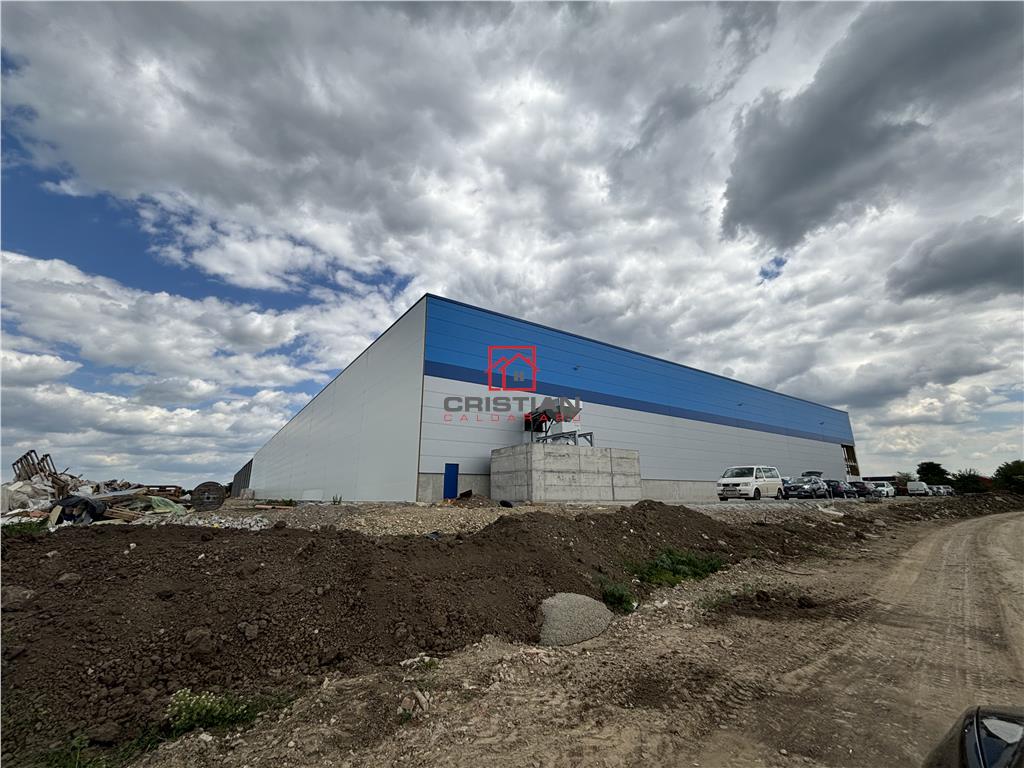 Inchiriere depozit/hala/spatiu industrial Otopeni - Odaii - Centura - foto 4