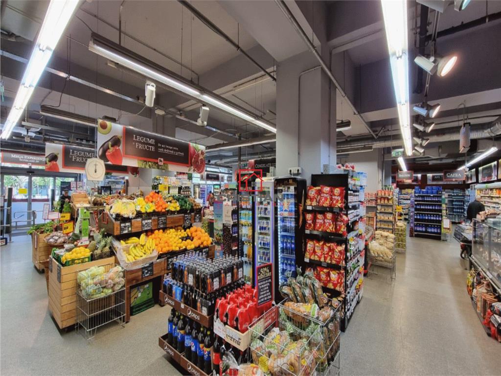 Inchiriere spatiu comercial Titulescu - Banu Manta, Bucuresti - foto 2