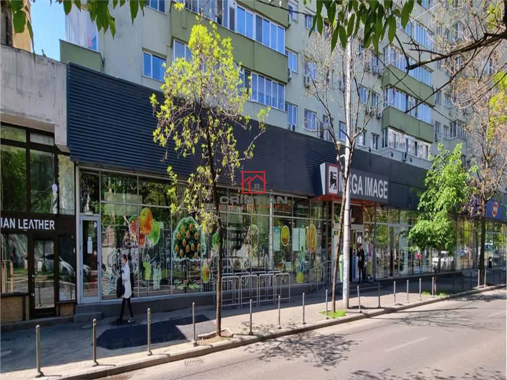 Inchiriere spatiu comercial Titulescu - Banu Manta, Bucuresti - foto 3