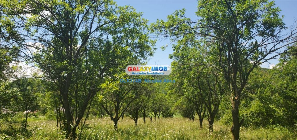 Teren intravilan comuna Bogati sat Birloi Jud. Arges - foto 2